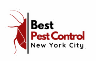 Best NYC Pest Control